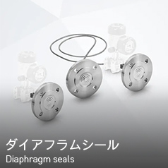 ダイアフラムシール Diaphragm seals